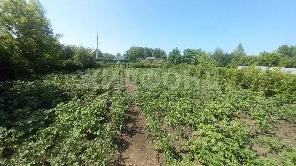 Участок в Новосибирская область, Новосибирский район, Новолуговской ... - Фото 0