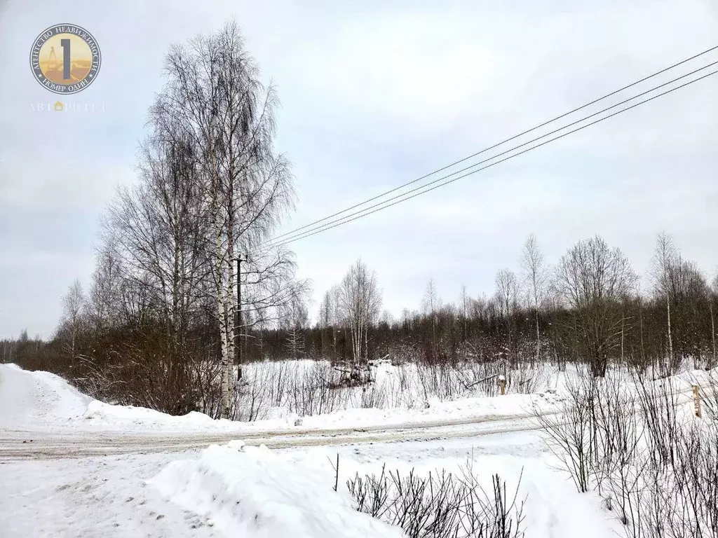 Участок в Вологодская область, Череповецкий район, д. Нова  (350.0 ... - Фото 1