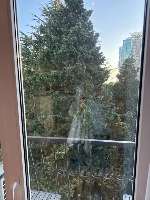 1-к кв. Краснодарский край, Сочи Светлана мкр, ул. Депутатская, 10Е ... - Фото 2