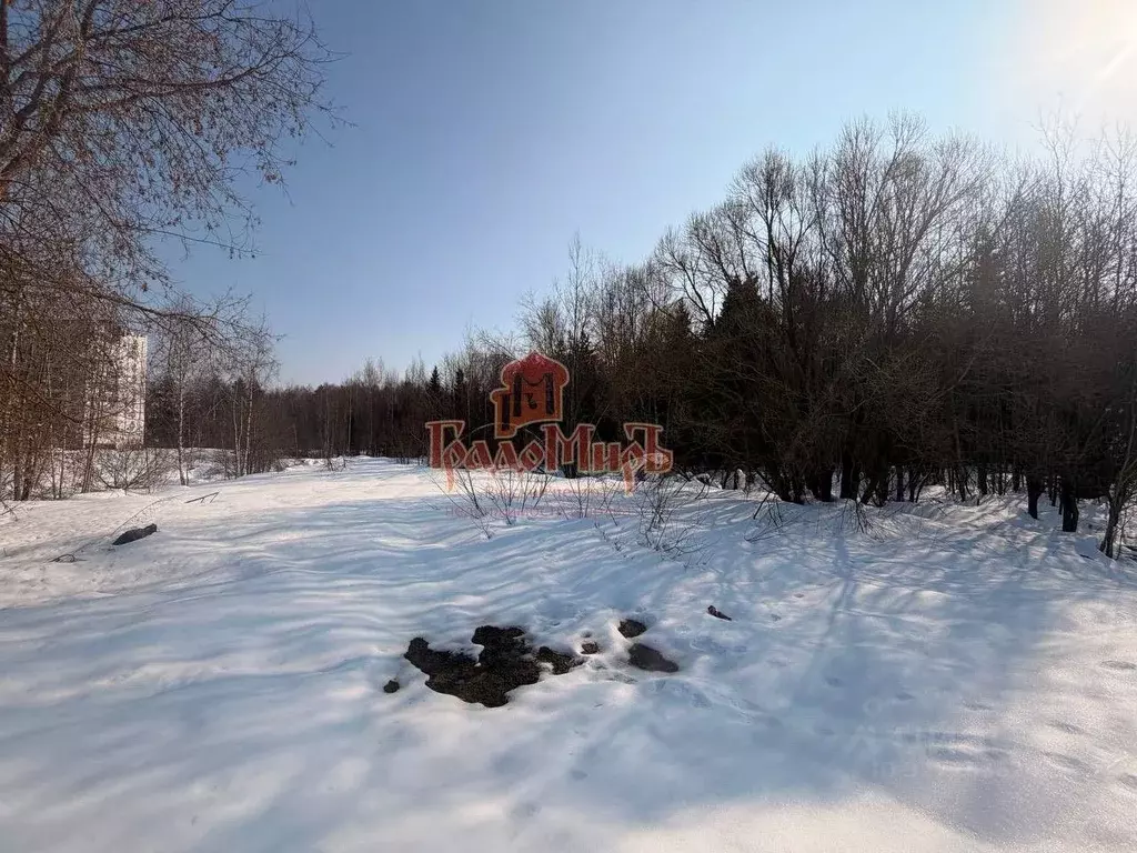 Участок в Московская область, Пересвет Сергиево-Посадский район, ул. ... - Фото 2