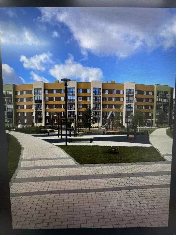 Торговая площадь в Кировская область, Киров ул. Энтузиастов, 60/4 (3 ... - Фото 1