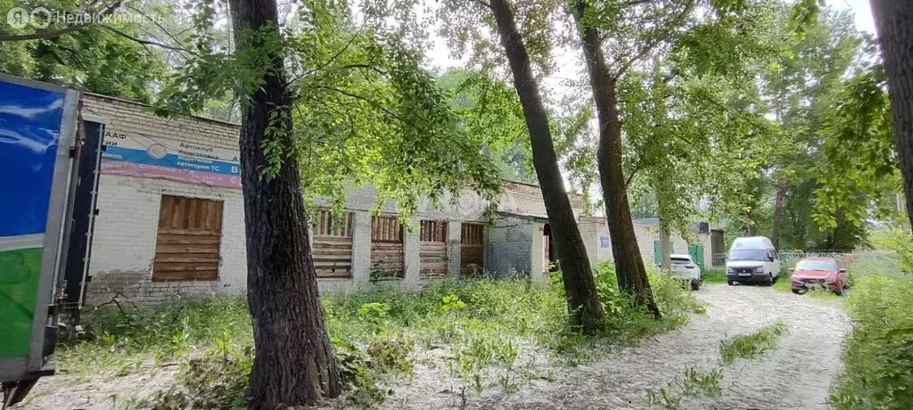 Помещение свободного назначения (295 м) - Фото 2