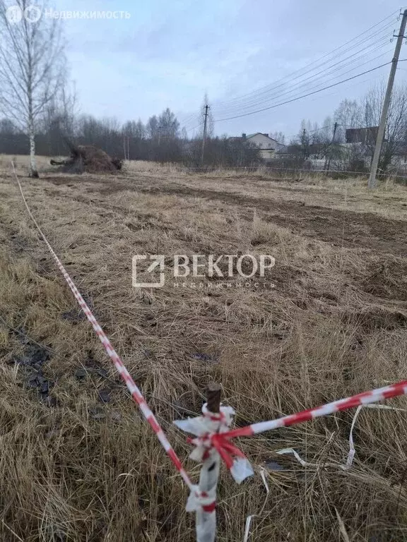 Участок в посёлок городского типа Красное-на-Волге, Зелёная улица (10 ... - Фото 1