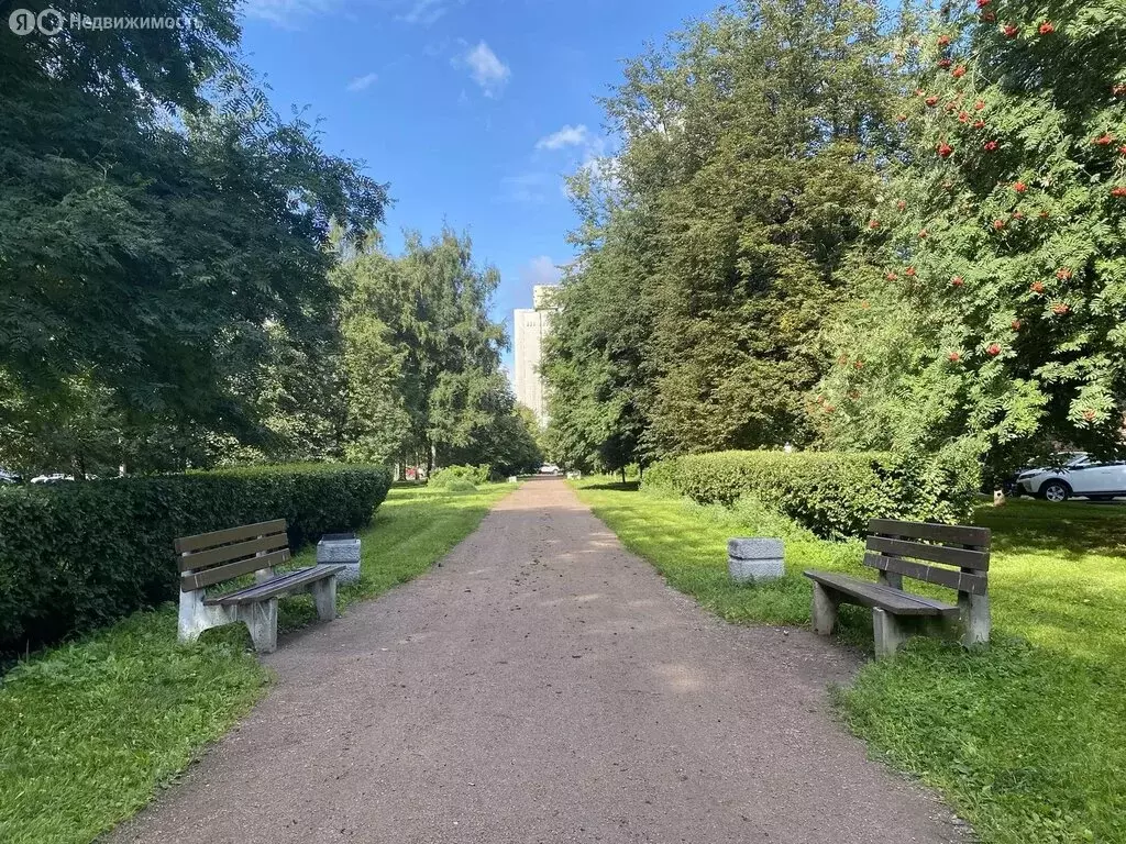 2-комнатная квартира: Санкт-Петербург, аллея Поликарпова, 8к1 (47 м) - Фото 1
