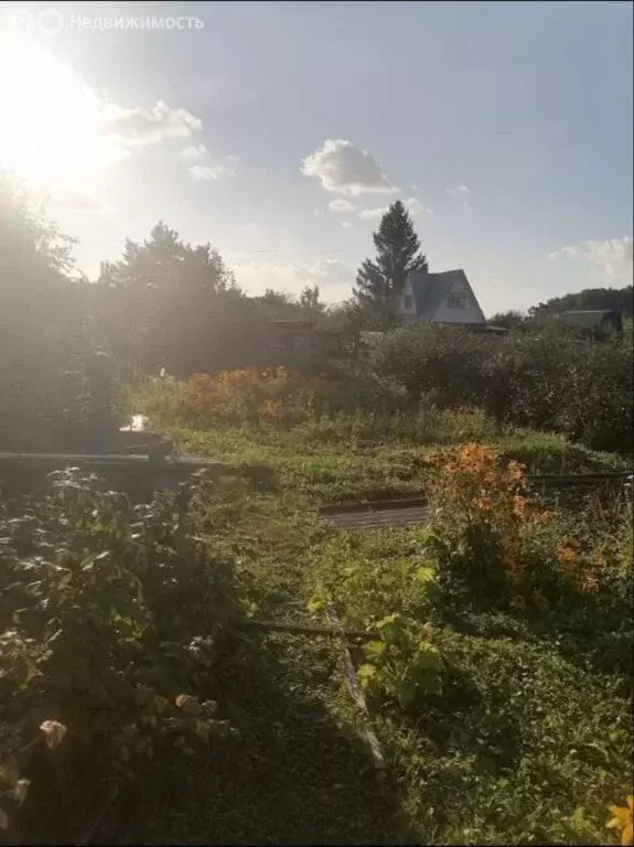 Участок в Омск, садоводческое товарищество Рябинка, 12 (5 м) - Фото 1