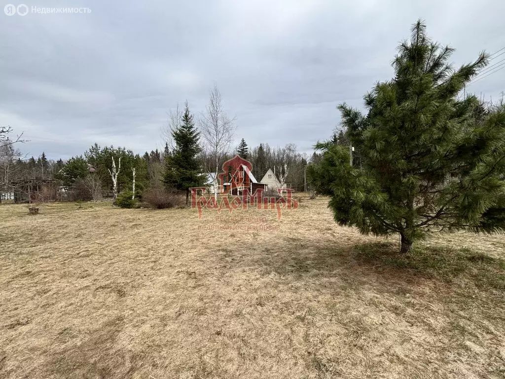Участок в Сергиево-Посадский городской округ, деревня Левково, садовое ... - Фото 1