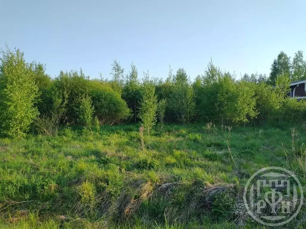 Участок в Ленинградская область, Выборгский район, Рощинское городское ... - Фото 0