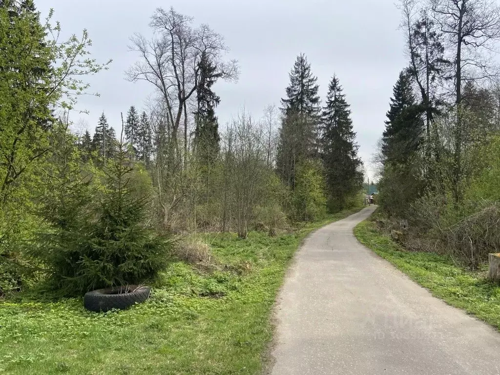 Участок в Московская область, Одинцовский городской округ, с. Шарапово ... - Фото 1