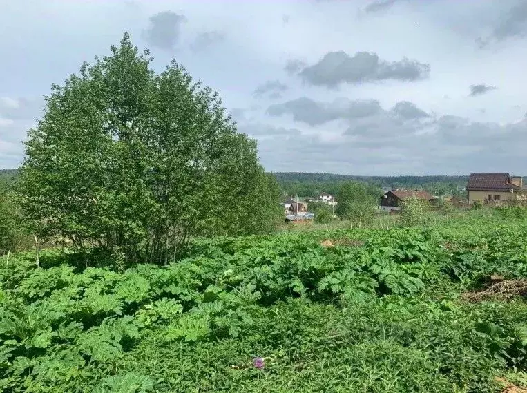 Участок в Московская область, Солнечногорск Загорье-2 мкр,  (9.98 ... - Фото 0