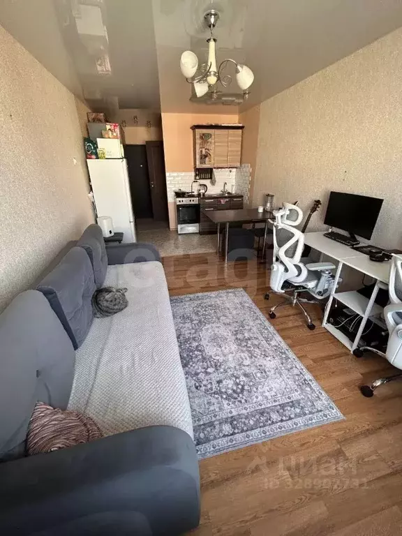Студия Кемеровская область, Кемерово Октябрьский просп., 85 (22.7 м) - Фото 2