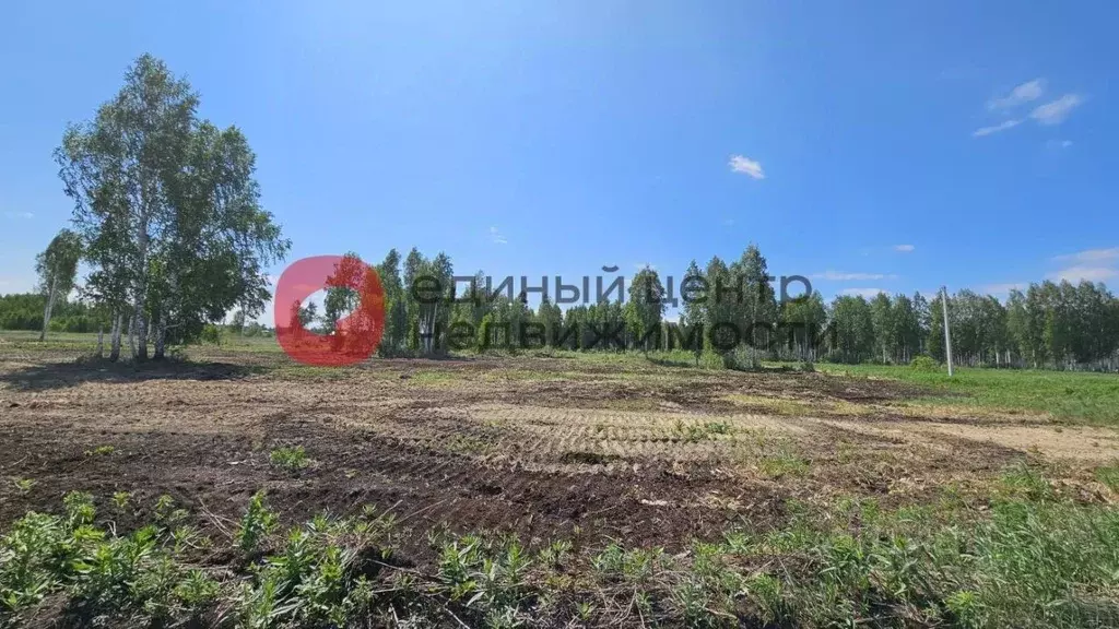 Участок в Тюменская область, Тюменский муниципальный округ Салаирский ... - Фото 2