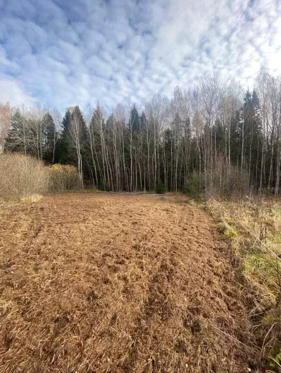 Участок, 15 сот., 0 - Фото 1