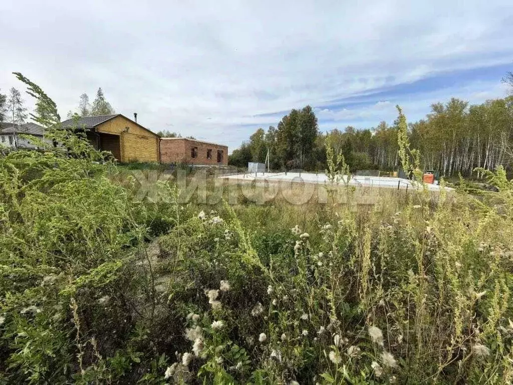 Участок в Новосибирская область, Новосибирский район, Каменский ... - Фото 2