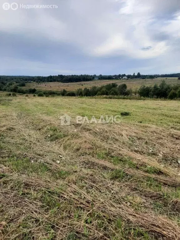 Участок в Вологодский муниципальный округ, деревня Сокольниково (625 ... - Фото 2
