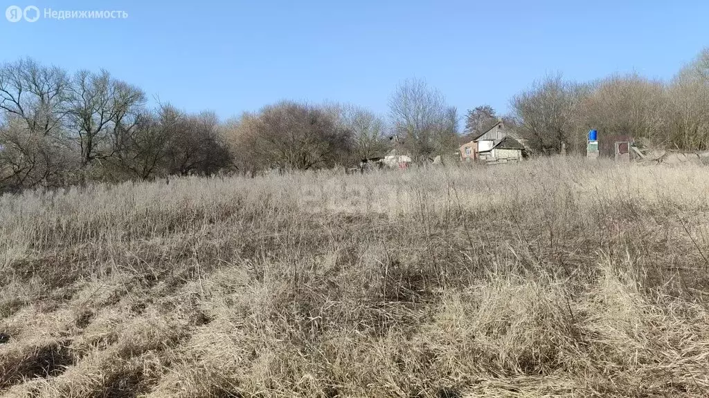 участок в васильево-ханжоновское сельское поселение, село щербаково, . - Фото 0