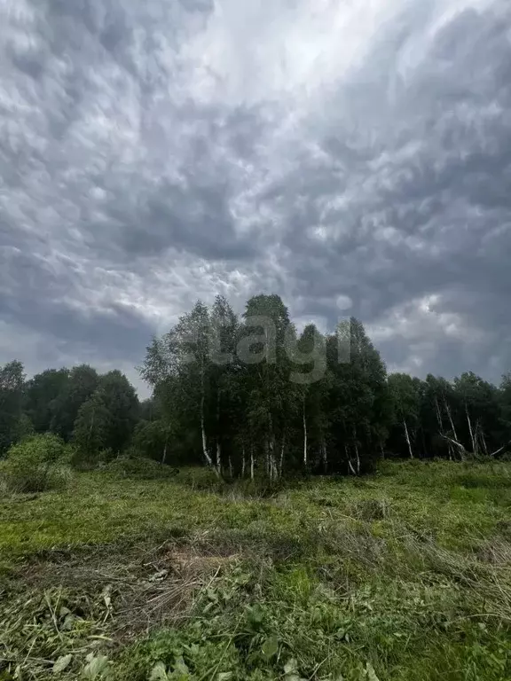 Участок в Тюменская область, Нижнетавдинский муниципальный округ, ... - Фото 1