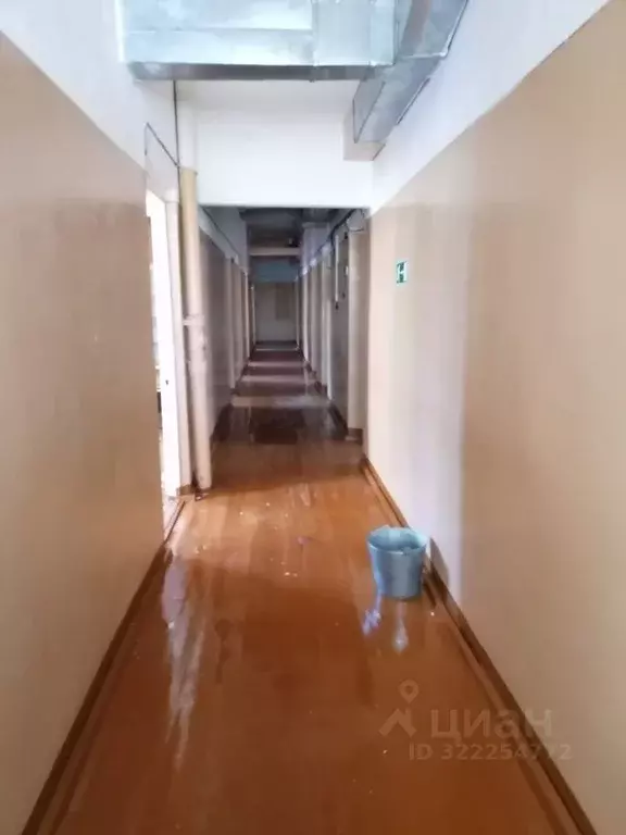 Помещение свободного назначения в Архангельская область, Каргополь ... - Фото 2