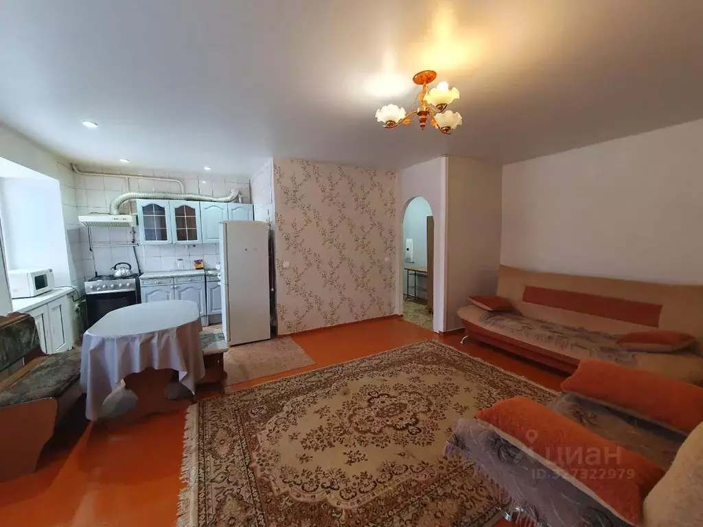 2-к кв. Удмуртия, Ижевск Пушкинская ул., 256 (43.0 м) - Фото 2