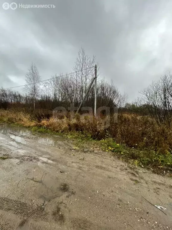 Участок в Вологда, Речная улица (8.1 м) - Фото 2