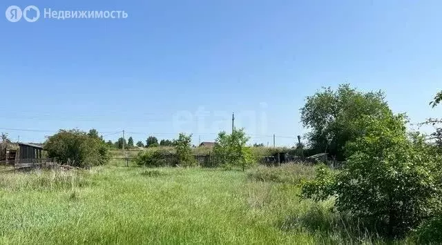 Участок в Курган, СНТ Озеро Бездонное-2 (7 м) - Фото 2