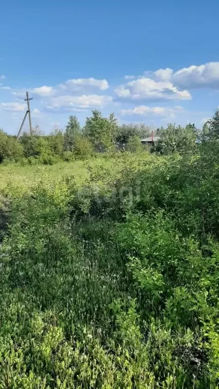 Участок в Башкортостан, Уфимский район, Красноярский сельсовет, с. ... - Фото 0