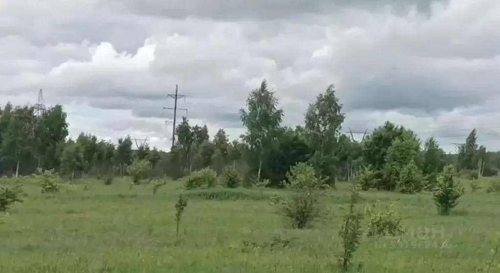 Участок в Московская область, Серпухов городской округ, д. Нефедово  ... - Фото 1