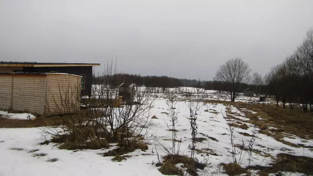 Участок в Калужская область, Мещовск городское поселение, д. ... - Фото 2