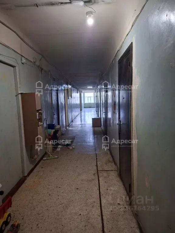 Комната Волгоградская область, Волгоград ул. Доценко, 70 (19.3 м) - Фото 1