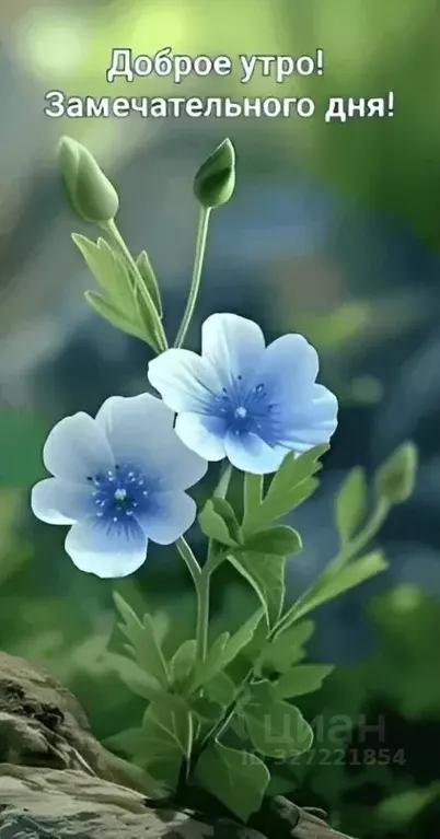 Участок в Краснодарский край, Кавказский район, Казанская ст-ца ул. ... - Фото 2