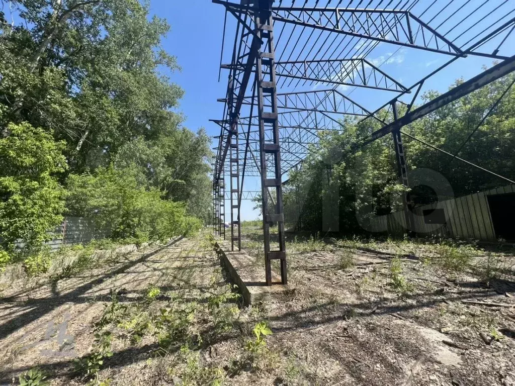 Участок в Алтайский край, Барнаул городской округ, пос. Центральный ... - Фото 1