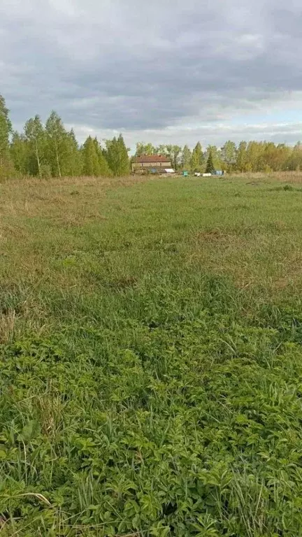 Участок в Нижегородская область, Нижний Новгород д. Новопавловка,  ... - Фото 1