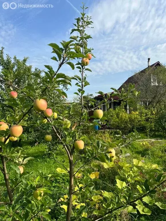 Дом в Санкт-Петербург, садоводство Знамя Октября, 3-я аллея (68 м) - Фото 2