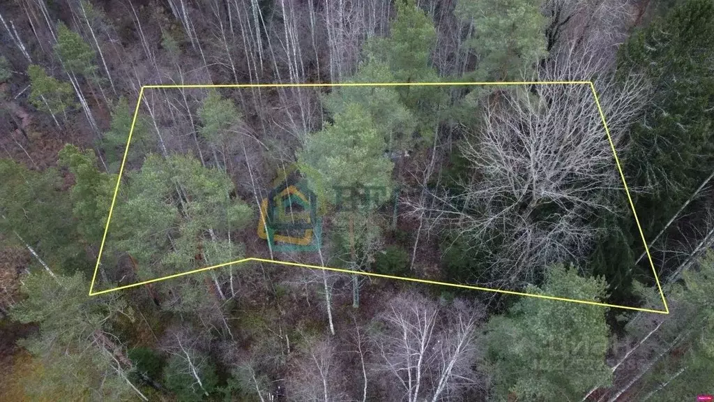 Участок в Ленинградская область, Всеволожский район, Куйвозовское ... - Фото 2