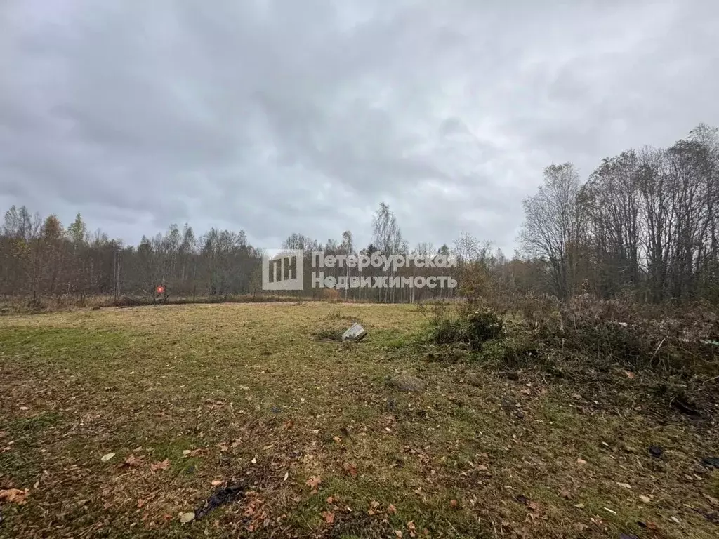 Участок в Псковская область, Гдовский район, Плесновская волость, д. ... - Фото 1