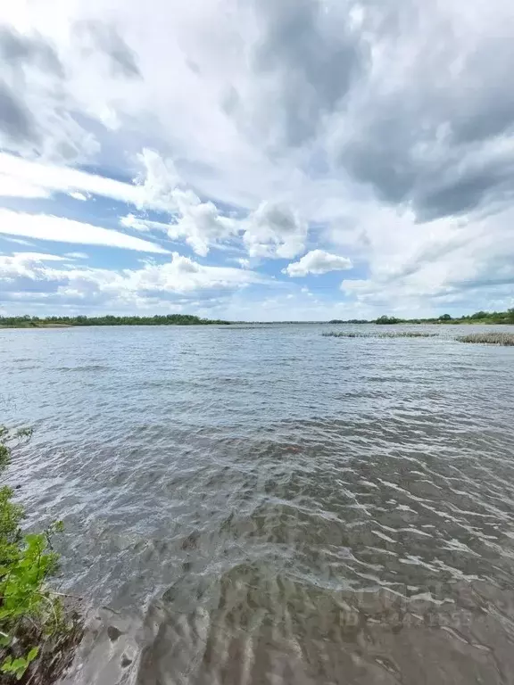 Участок в Калужская область, Сухиничский район, Глазково с/пос, д. ... - Фото 2