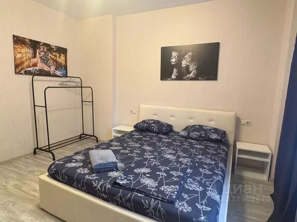 1-к кв. Московская область, Лосино-Петровский городской округ, ... - Фото 2