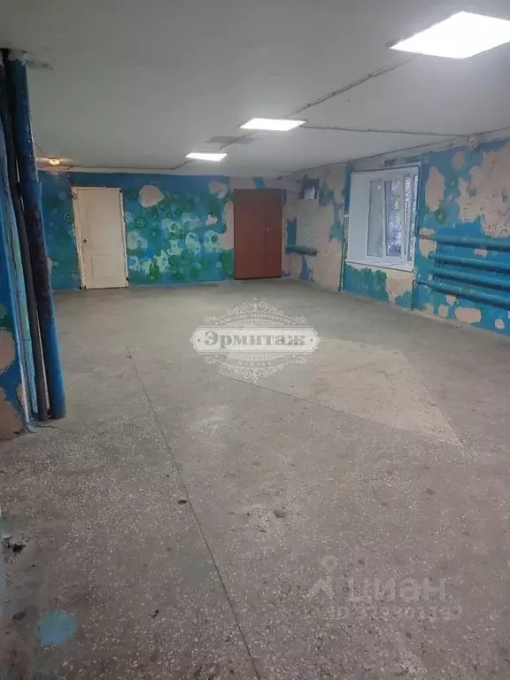 Комната Курганская область, Курган ул. Радионова, 20 (14.0 м) - Фото 2