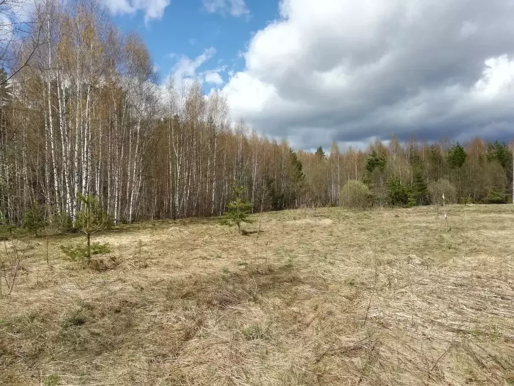 Участок в Владимирская область, Киржачский район, Горкинское ... - Фото 1