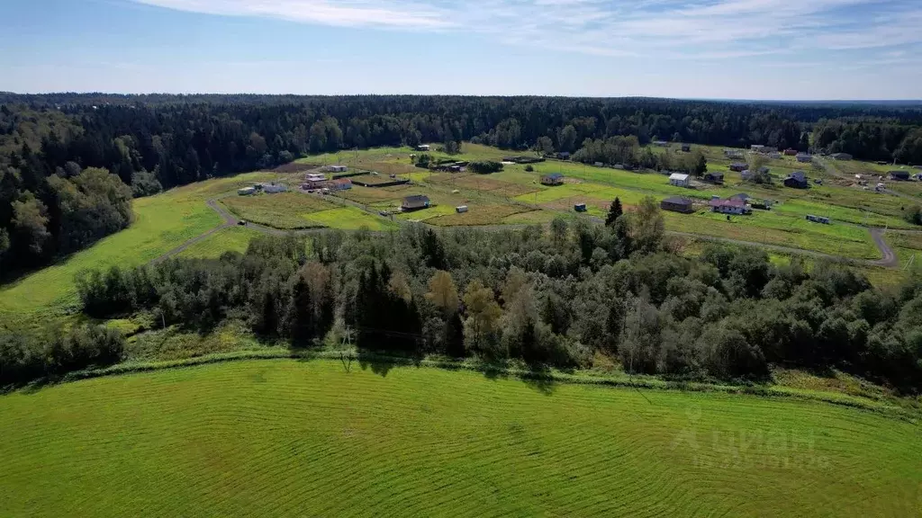 Участок в Московская область, Истра муниципальный округ, д. Давыдково  ... - Фото 2