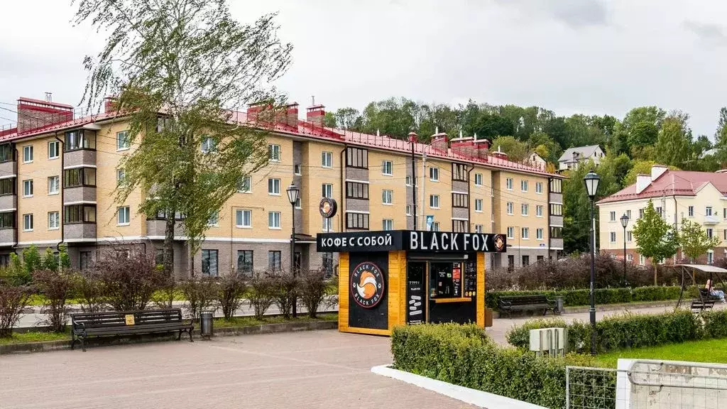 1-к кв. Смоленская область, Смоленск Большая Краснофлотская ул., 1А ... - Фото 2