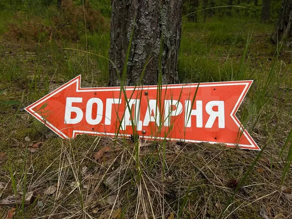 Участок 10 сот. (ИЖС) - Фото 0