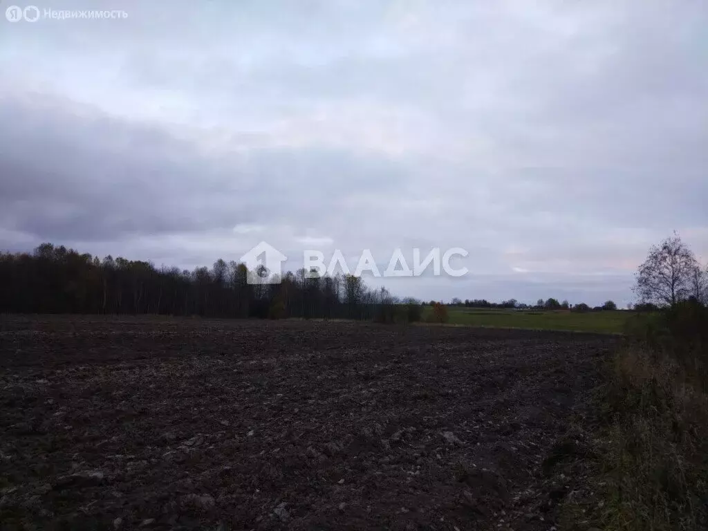 Участок в Вологодский муниципальный округ, деревня Пыхмарево (10 м) - Фото 0