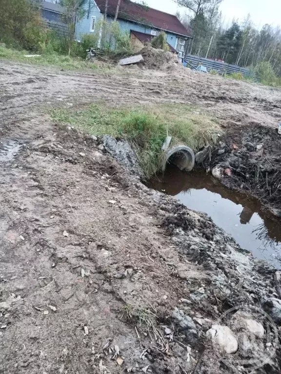 Участок в Ленинградская область, Всеволожский район, Морозовское ... - Фото 1
