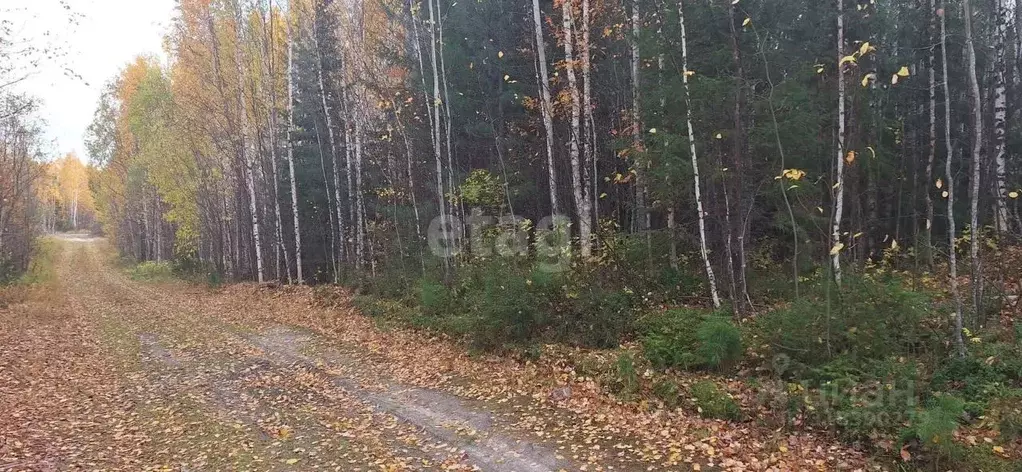 Участок в Ханты-Мансийский АО, Ханты-Мансийск Маяк СОТ,  (15.0 сот.) - Фото 0