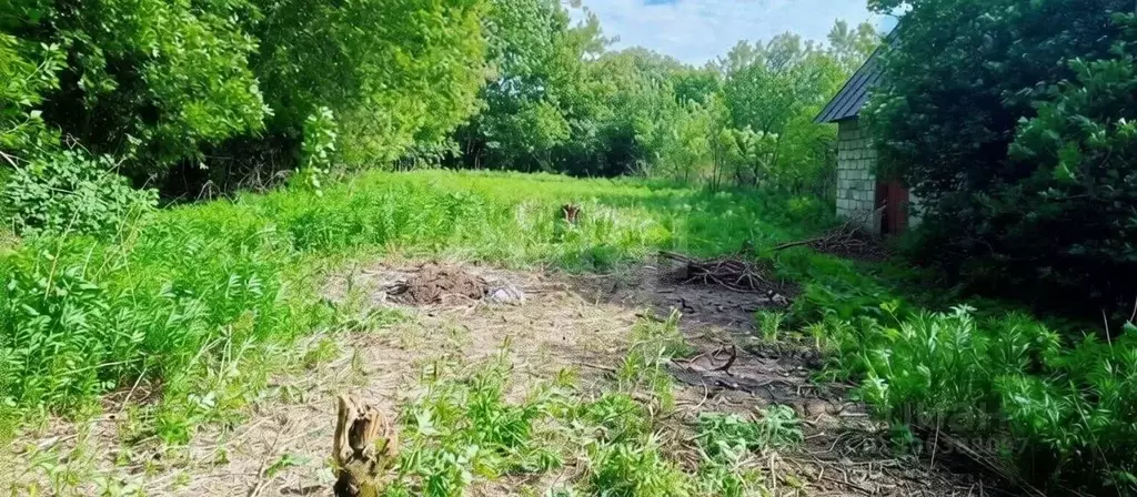 Участок в Тульская область, Тула Пировская ул. (8.6 сот.) - Фото 1