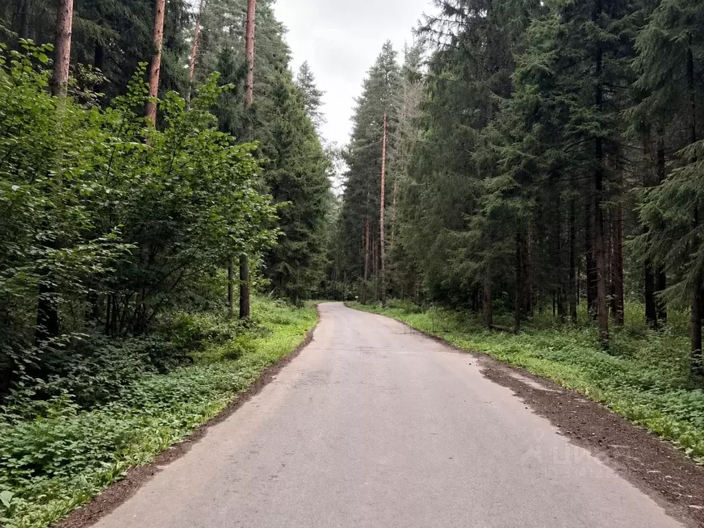 Участок в Московская область, Солнечногорск городской округ, Лесное ... - Фото 2