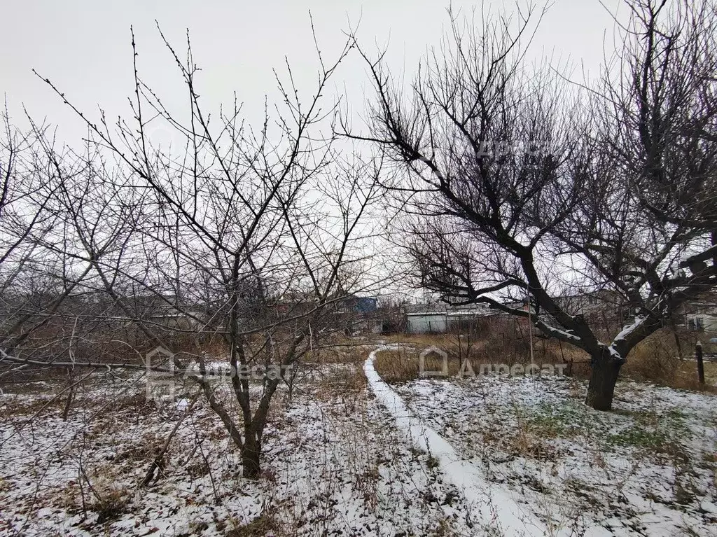 Участок в Волгоградская область, Дубовский район, Пичужинское с/пос, ... - Фото 2