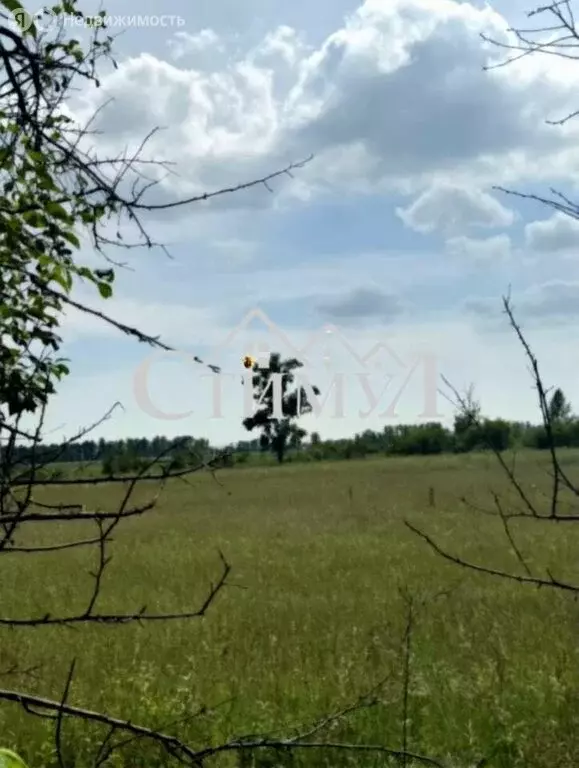 Участок в Зелёное, Братская улица, 24 (15 м) - Фото 1