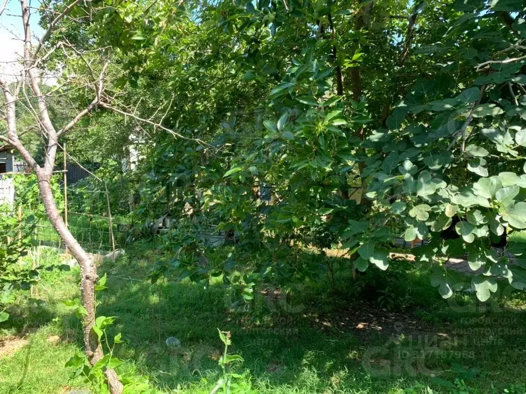 Участок в Краснодарский край, Сочи городской округ, с. Прогресс ул. ... - Фото 1