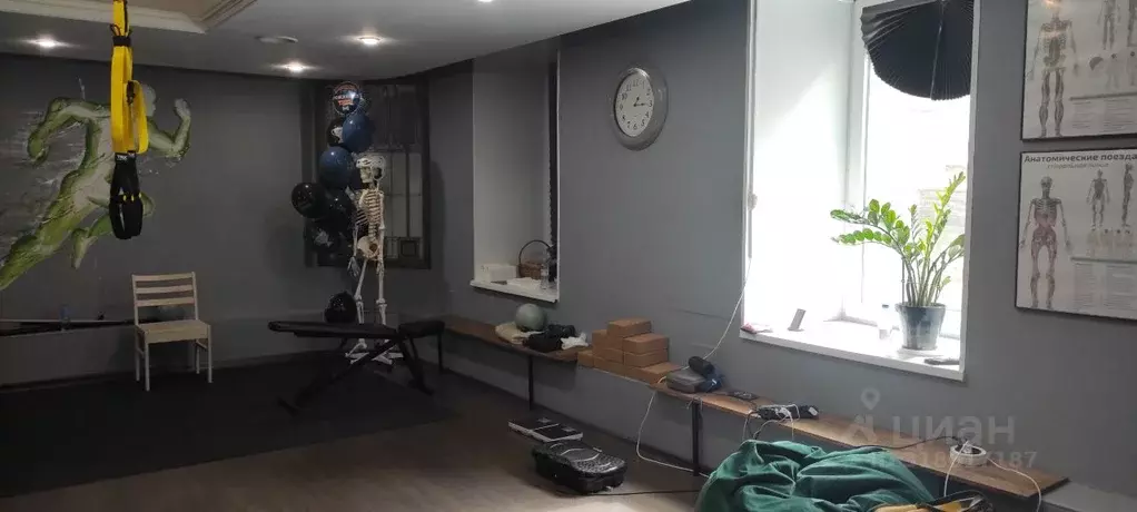 Торговая площадь в Санкт-Петербург ул. Пестеля, 14 (300 м) - Фото 1